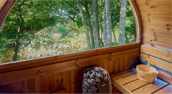 桑拿室内眺望森林景色