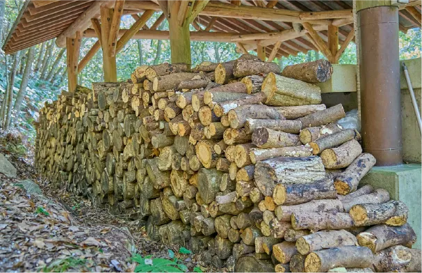 Interior of a tent-style sauna