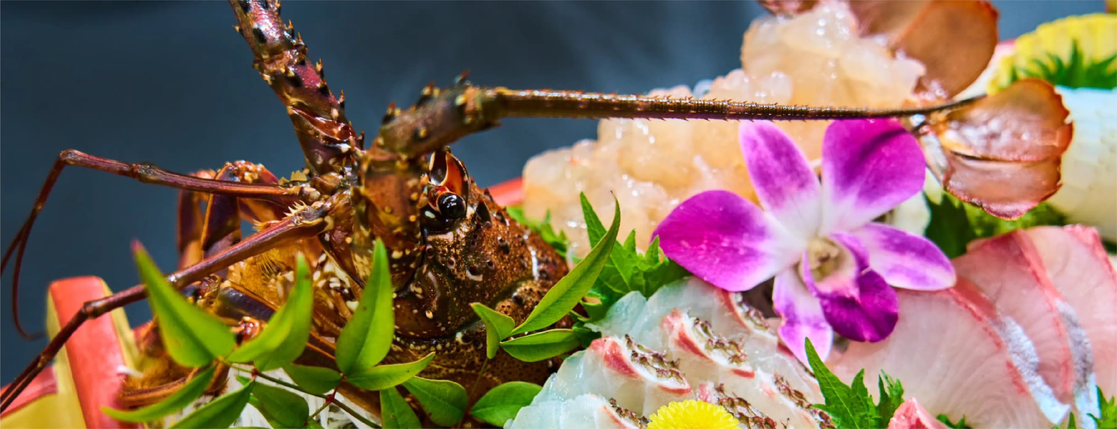 Creative cuisine with fresh ingredients