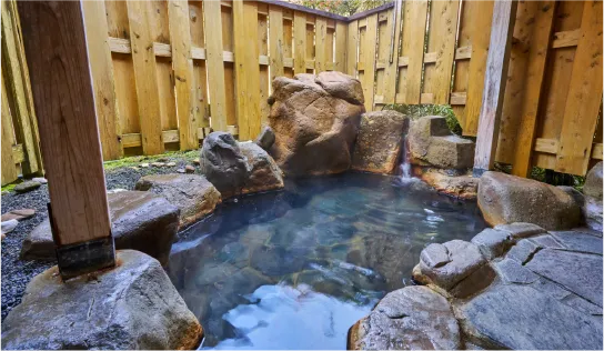 Traditional Japanese room with a private open-air bath